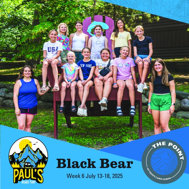 Black Bear